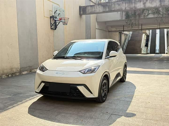 Фото 1 - BYD Seagull