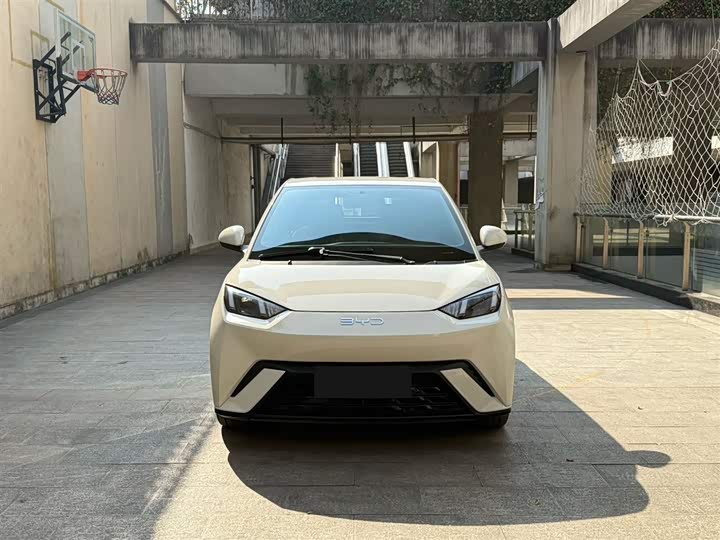 Фото 2 - BYD Seagull