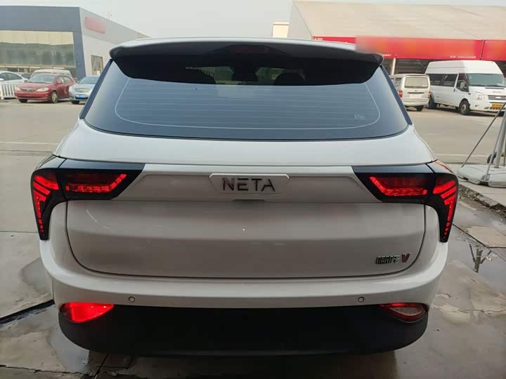 Фото 6 - Hozon V