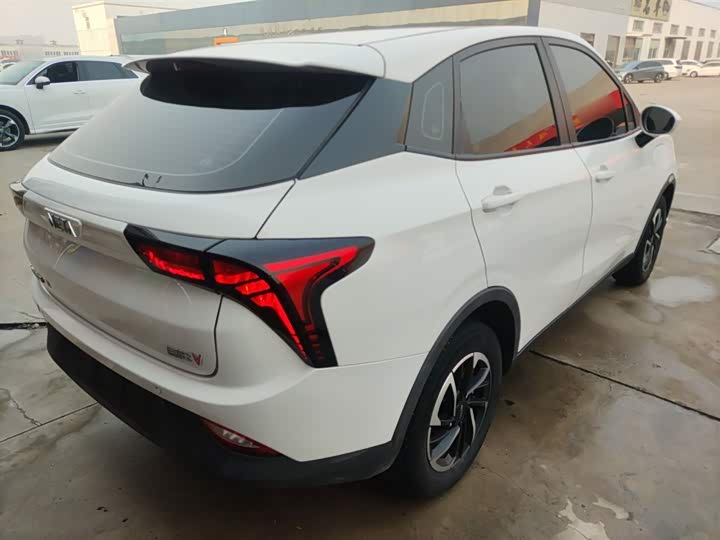 Фото 7 - Hozon V