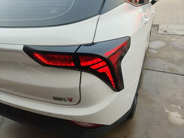 Фото 8 - Hozon V