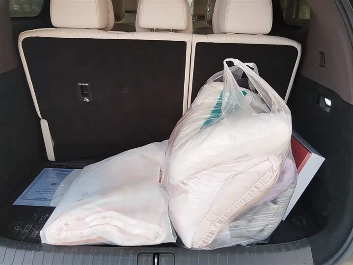 Фото 4 - LiXiang Mega