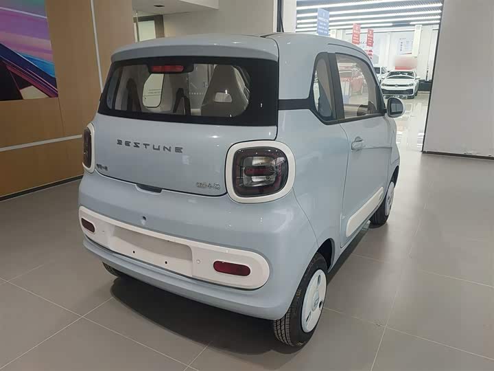 Фото 7 - Bestune Pony