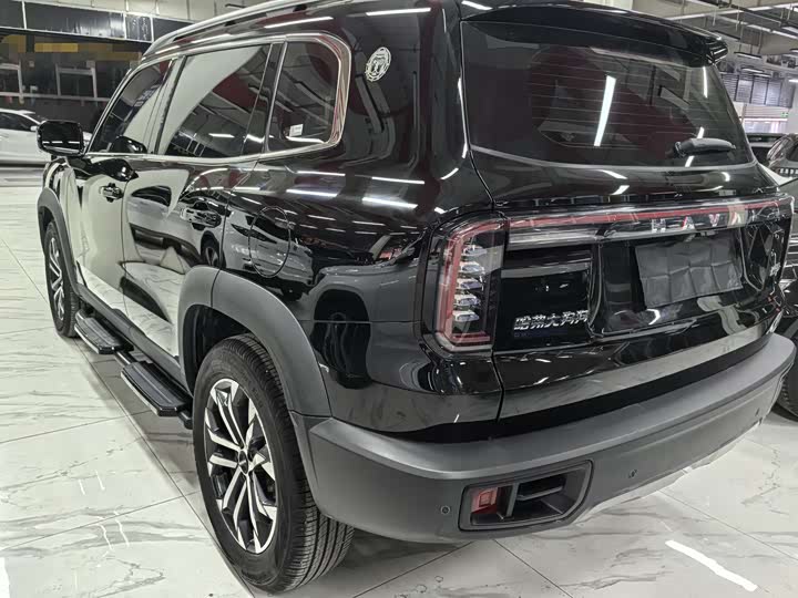 Фото 4 - Haval Dargo