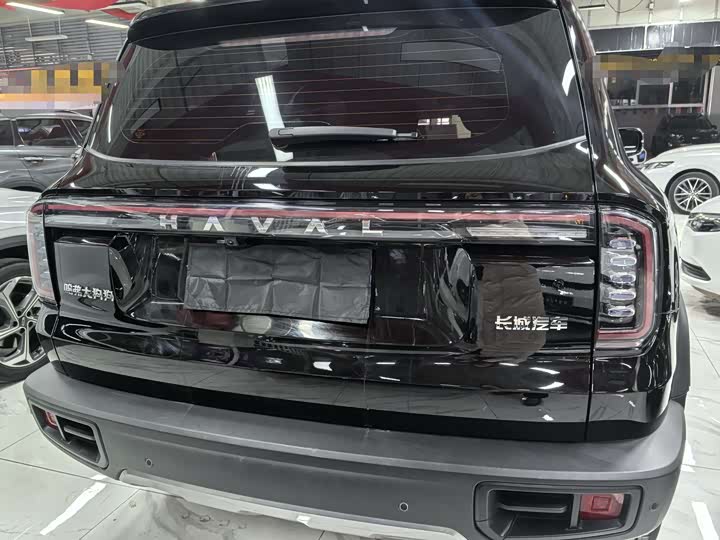 Фото 5 - Haval Dargo