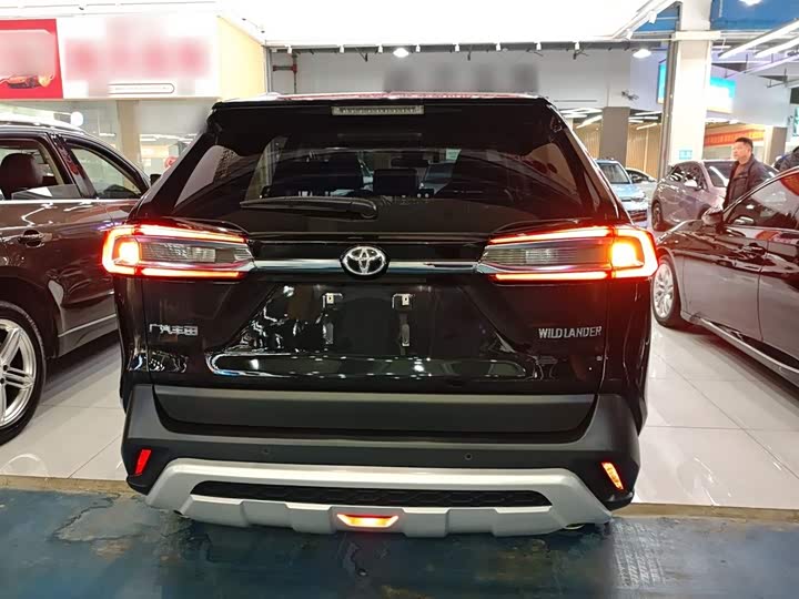 Фото 6 - Toyota Wildlander