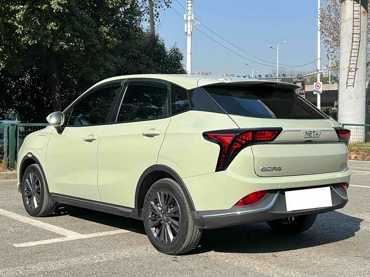 Фото 4 - Hozon V