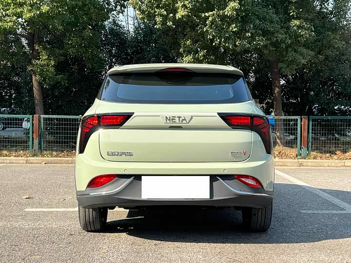 Фото 5 - Hozon V