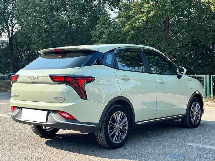 Фото 6 - Hozon V