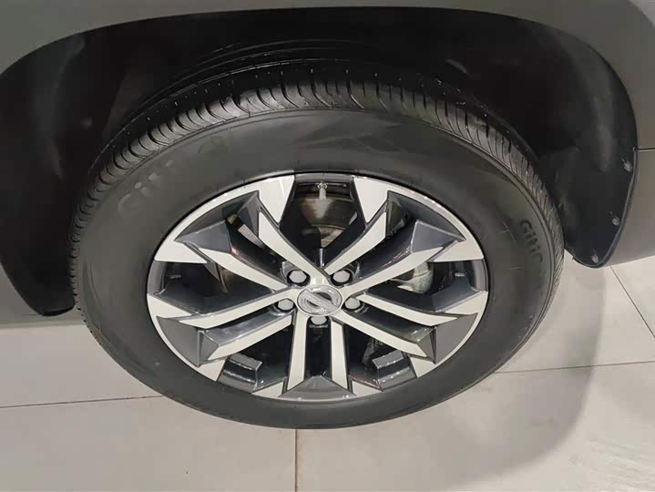 Фото 6 - Haval Dargo