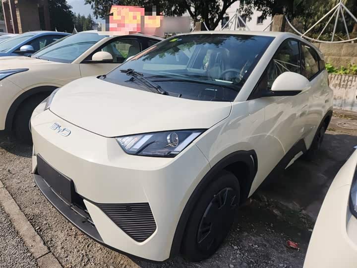 Фото 2 - BYD Seagull