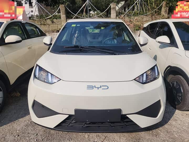 Фото 3 - BYD Seagull