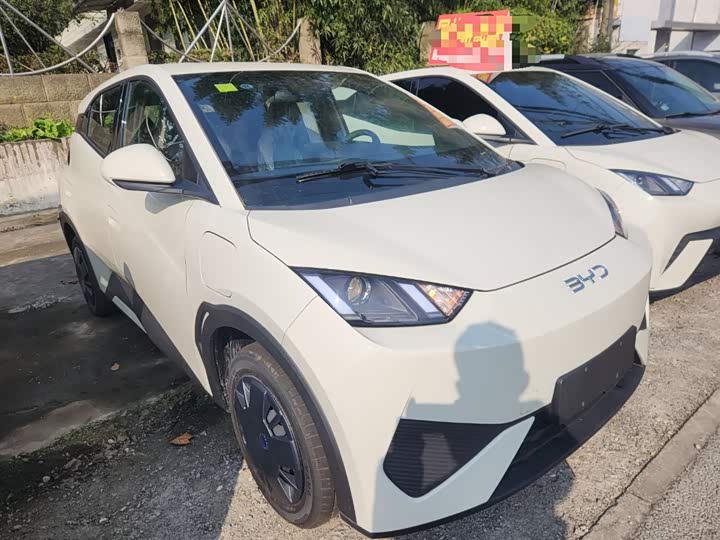 Фото 4 - BYD Seagull