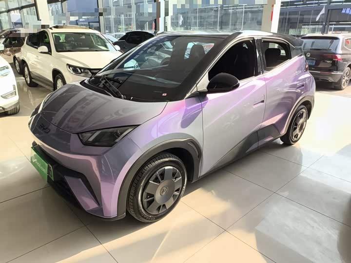 Фото 2 - BYD Seagull