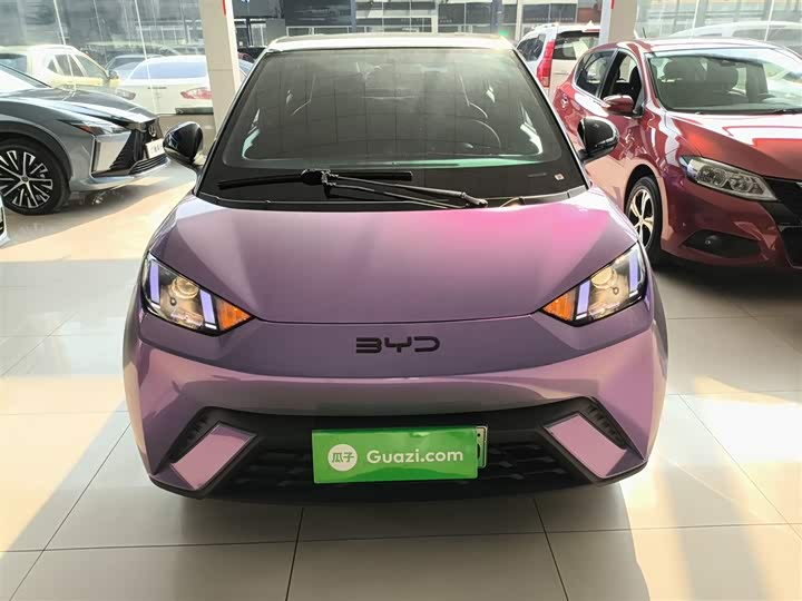 Фото 3 - BYD Seagull