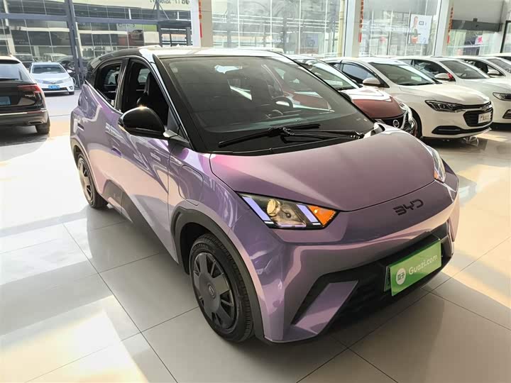 Фото 4 - BYD Seagull