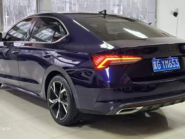 Фото 5 - Skoda Octavia Pro