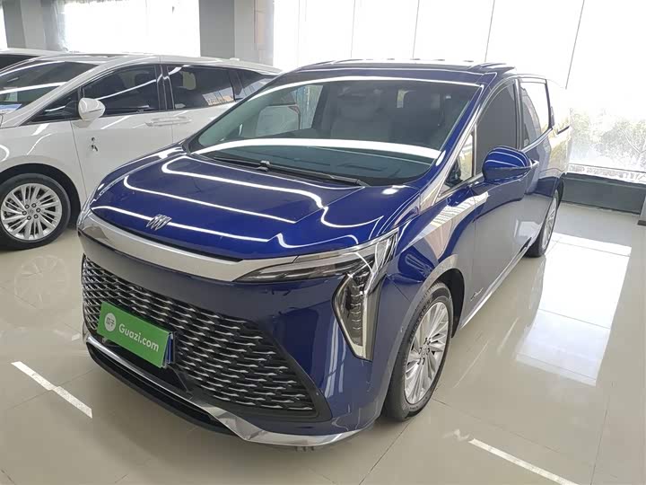 Фото 1 - Buick GL8 Century