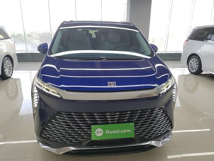 Фото 3 - Buick GL8 Century