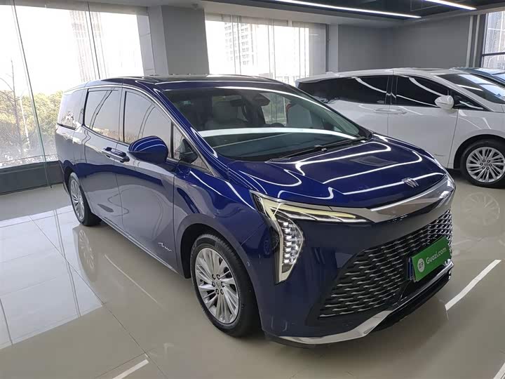 Фото 4 - Buick GL8 Century