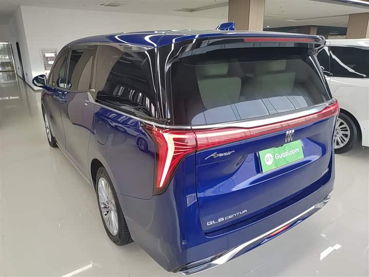 Фото 5 - Buick GL8 Century