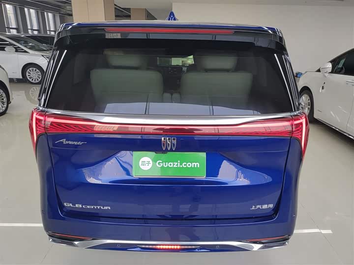 Фото 6 - Buick GL8 Century