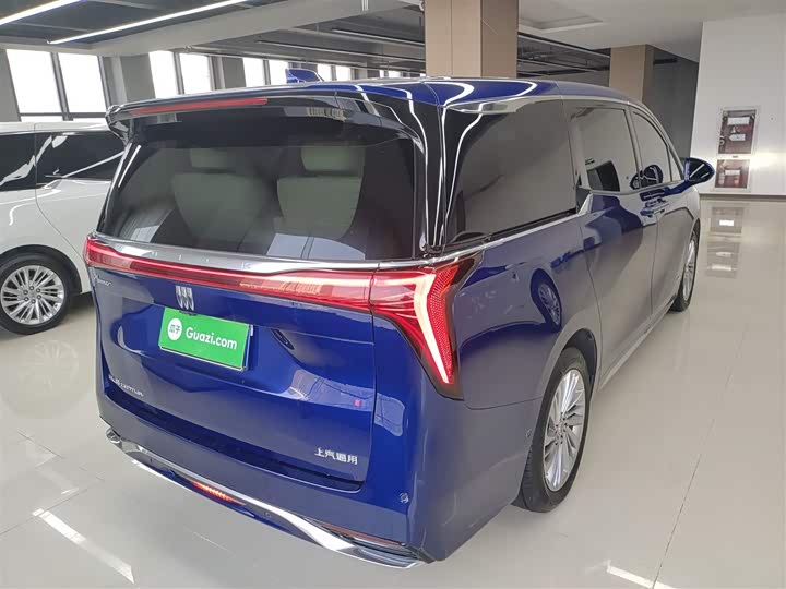 Фото 7 - Buick GL8 Century