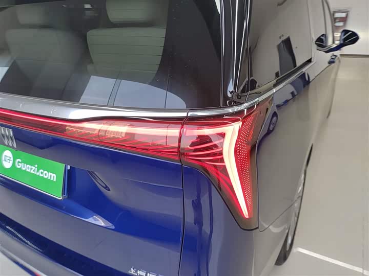 Фото 8 - Buick GL8 Century