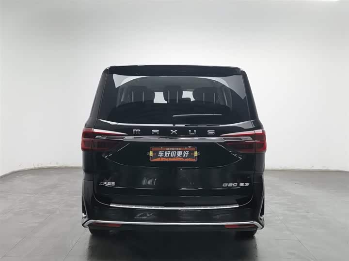 Фото 4 - Maxus G20