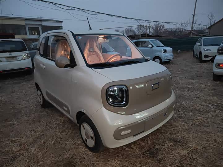 Фото 4 - Bestune Pony