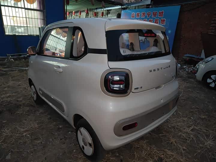 Фото 5 - Bestune Pony