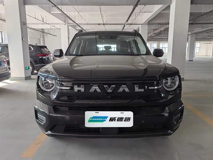 Фото 2 - Haval H-Dog Hybrid