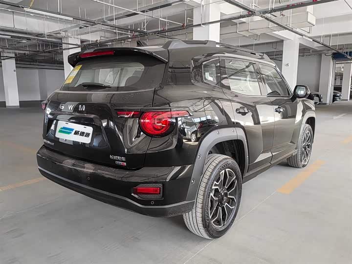Фото 4 - Haval H-Dog Hybrid