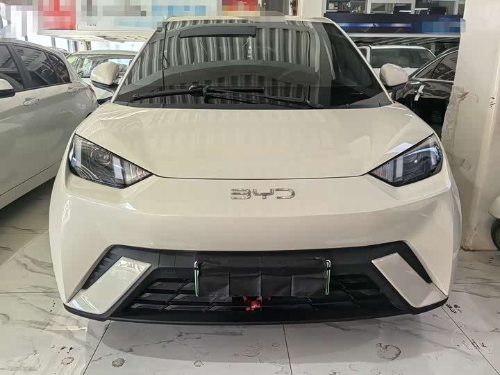 Фото 2 - BYD Seagull