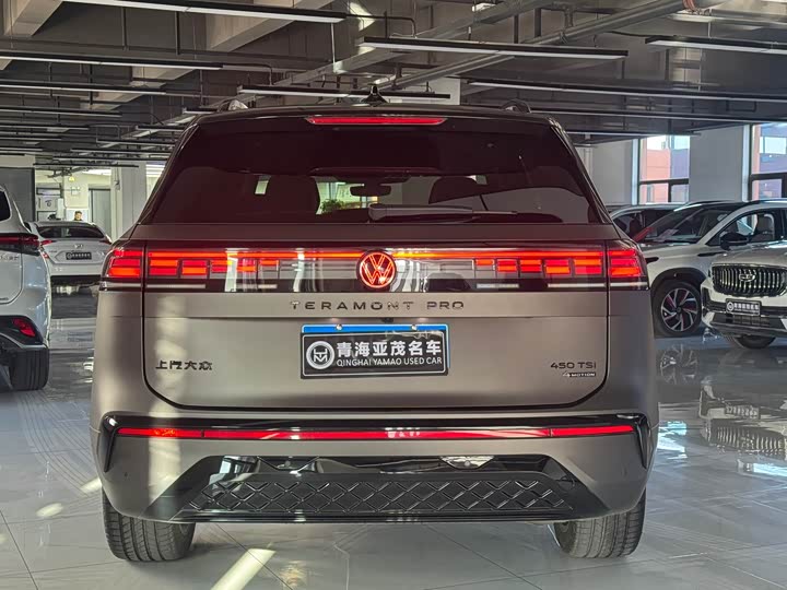 Фото 5 - Volkswagen Teramont Pro