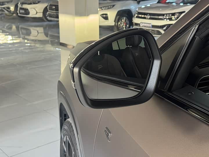 Фото 9 - Volkswagen Teramont Pro