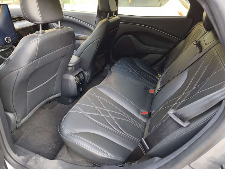 Фото 9 - Ford Mustang Mach-E