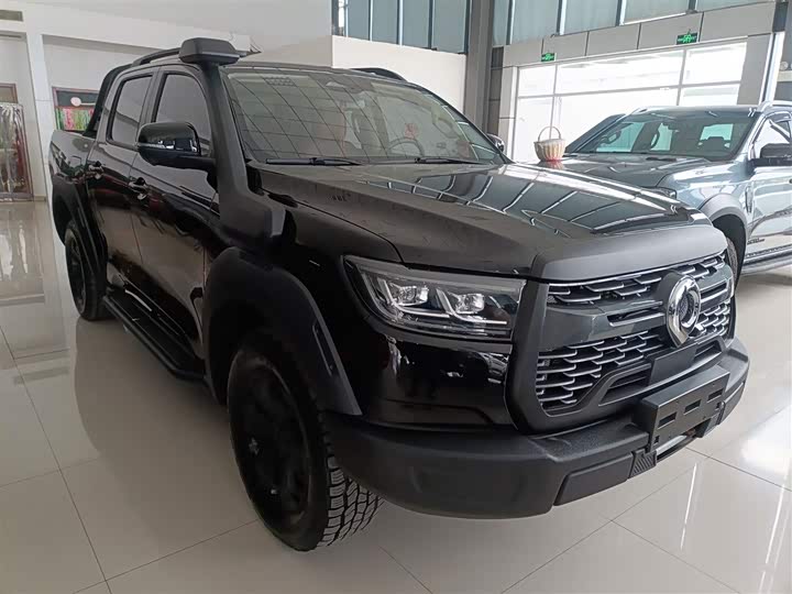 Фото 4 - Great Wall Pao