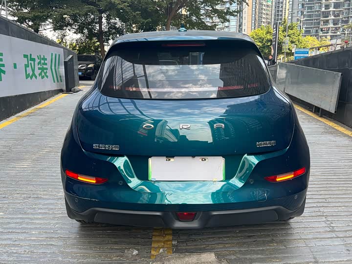 Фото 6 - Ora Good Cat (03)