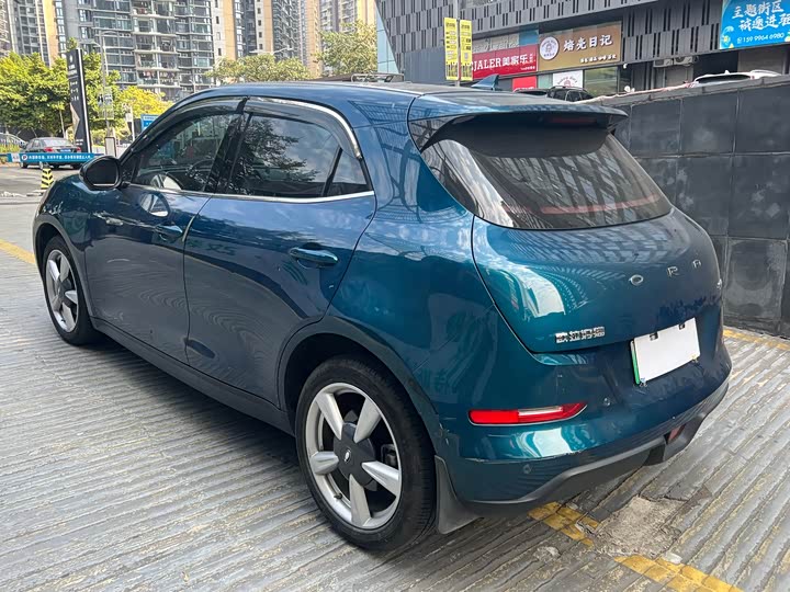 Фото 7 - Ora Good Cat (03)