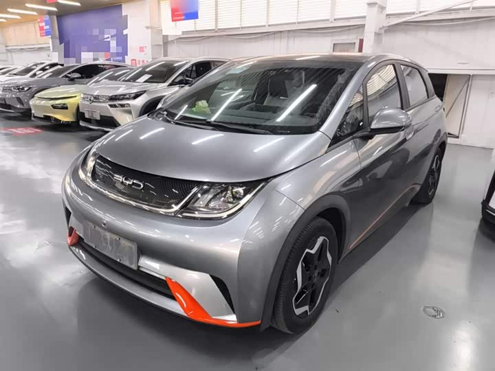 Фото 1 - BYD Dolphin