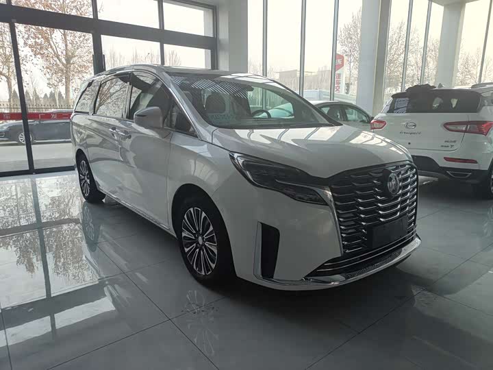 Фото 1 - Buick GL8 ES