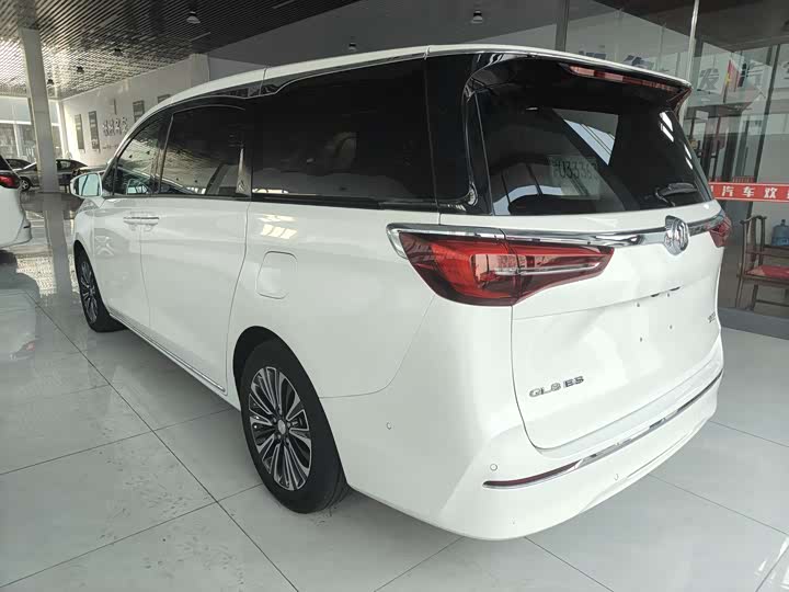 Фото 8 - Buick GL8 ES