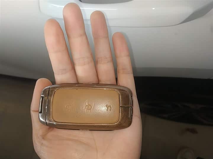 Фото 9 - Geely Galaxy L7