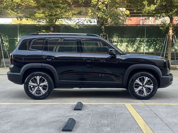 Фото 3 - Haval Dargo