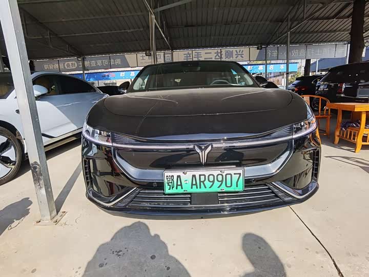 Фото 2 - Voyah Passion