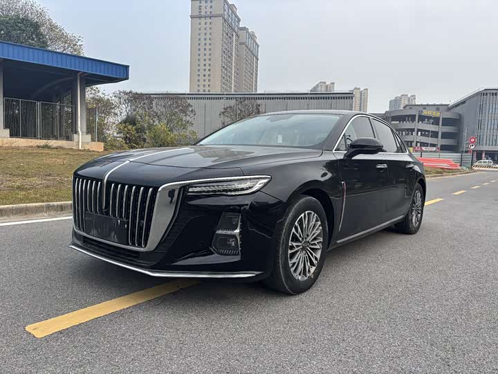 Фото 1 - Hongqi H5
