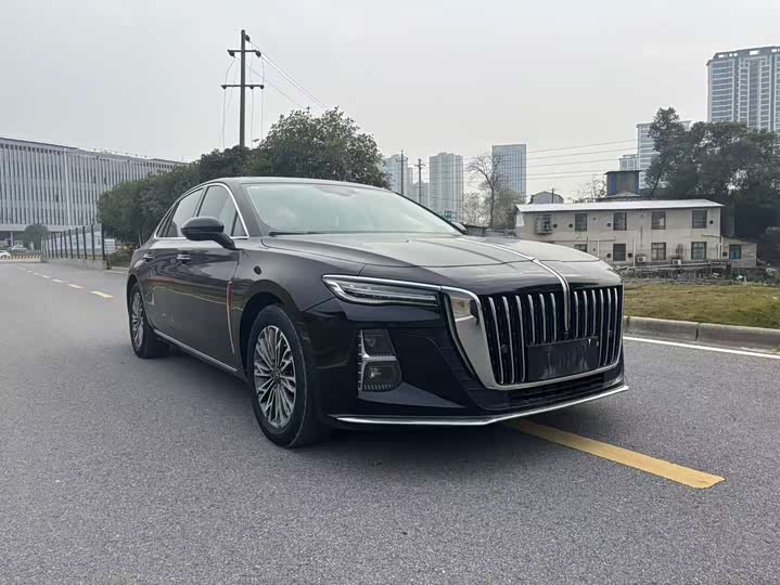 Фото 3 - Hongqi H5