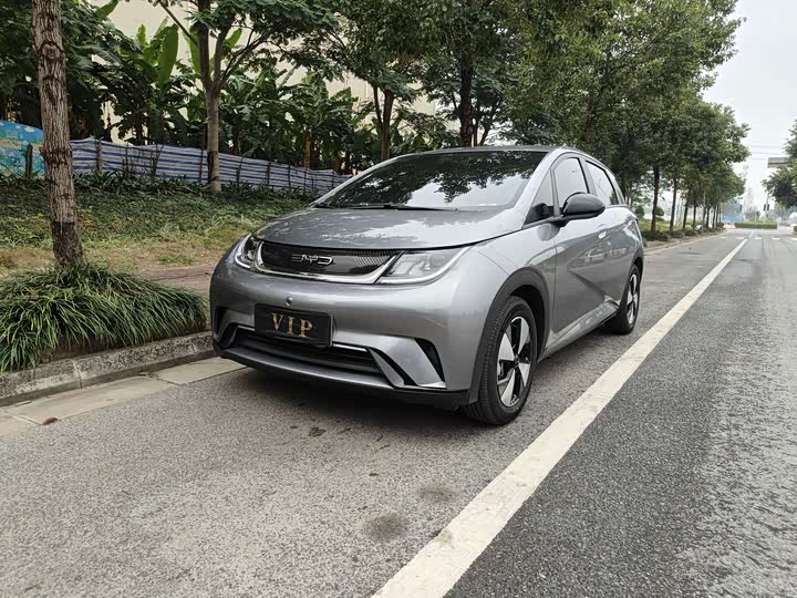 Фото 1 - BYD Dolphin