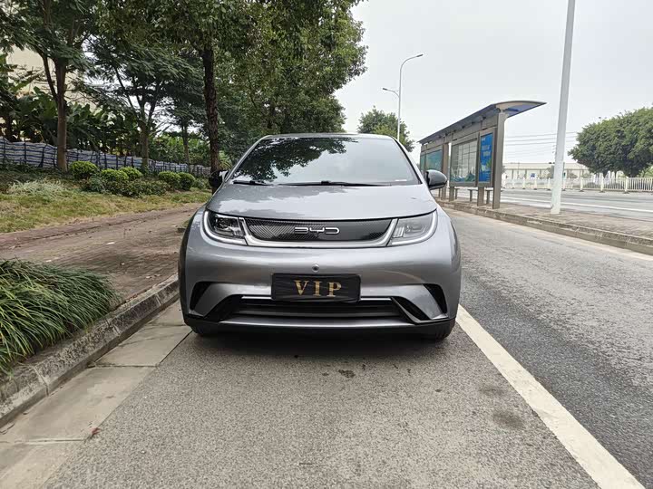 Фото 2 - BYD Dolphin